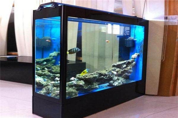 大魚缸擺放位置風水圖：大魚缸擺放位置與風水的關系