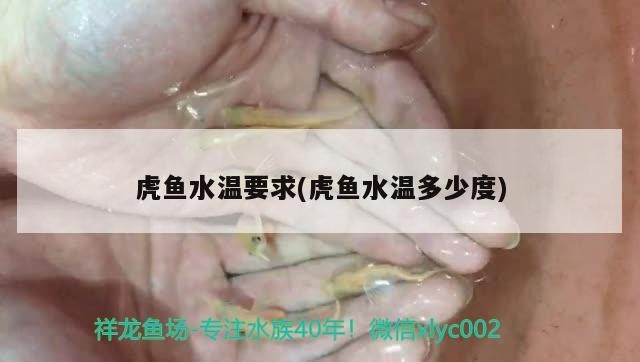 虎魚水溫要求(虎魚水溫多少度) 虎魚水溫要求(虎魚水溫多少度) 虎魚百科