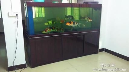 搬家公司搬魚缸負責安裝嗎？：如何選擇搬家公司