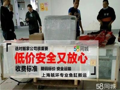 搬家公司搬魚缸負責安裝嗎？：如何選擇搬家公司