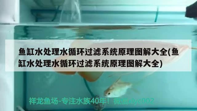 喀喇沁旗利達(dá)軒花卉水族館（喀喇沁旗利達(dá)軒花卉水族館電話）