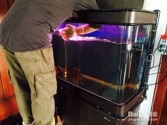 大魚缸怎么清理換水孔：如何清理大魚缸？