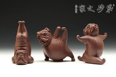 茶寵能不能放魚缸里：茶寵是否能放魚缸里，茶寵能否放魚缸里取決于多個(gè)因素