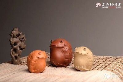 茶寵能不能放魚缸里：茶寵是否能放魚缸里，茶寵能否放魚缸里取決于多個(gè)因素