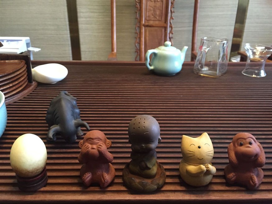 茶寵能不能放魚缸里：茶寵是否能放魚缸里，茶寵能否放魚缸里取決于多個(gè)因素