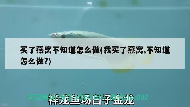3公分虎魚能和20公分龍魚還有7公分豬鼻龜混養(yǎng)嗎？