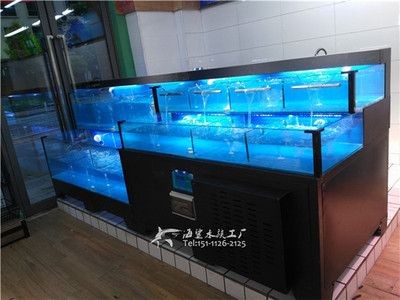 超市魚缸養魚技術要求：超市養魚技術要求 超市魚缸養魚技術要求：超市養魚技術要求 魚缸百科 第2張