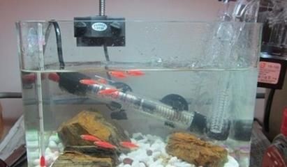 大型魚缸加熱棒怎么用：大型魚缸加熱棒的使用方法