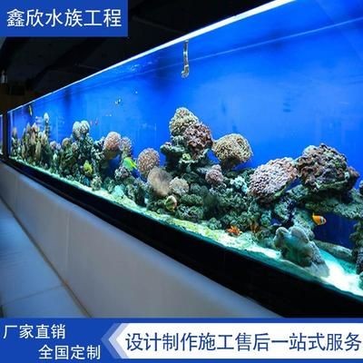 大型魚缸設計施工：大型魚缸設計施工注意事項