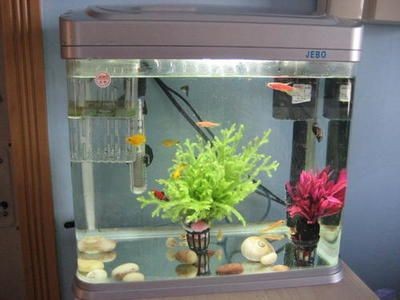 八里橋有賣魚缸的嗎：八里橋市場信息在八里橋市場旁邊有個專門買魚和魚缸的