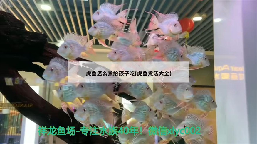 虎魚怎么煮給孩子吃(虎魚煮法大全) 虎魚怎么煮給孩子吃(虎魚煮法大全) 虎魚百科