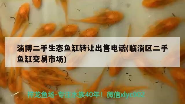 淄博二手生態魚缸轉讓出售電話(臨淄區二手魚缸交易市場)
