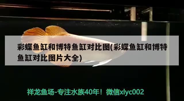 北海魚缸定做廠家(您的城市有“母親河”嗎) 豬鼻龜百科 第2張 北海魚缸定做廠家(您的城市有“母親河”嗎) 北海魚缸定做廠家(您的城市有“母親河”嗎) 豬鼻龜百科 第2張