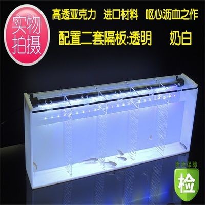 斗魚(yú)魚(yú)缸隔板用什么顏色好：斗魚(yú)魚(yú)缸隔板的顏色怎么選擇