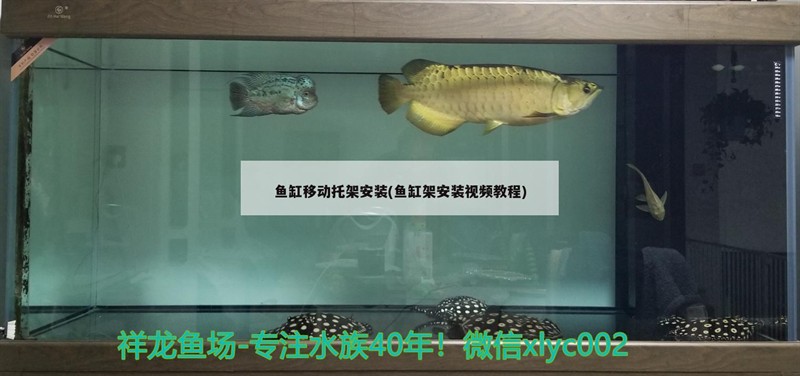 魚缸移動托架安裝(魚缸架安裝視頻教程)