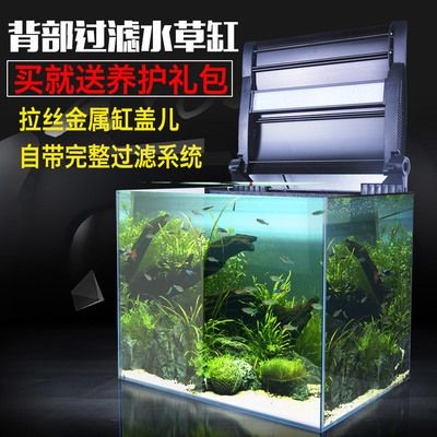 超白魚缸和普通魚缸哪個(gè)好養(yǎng)：如何選擇超白魚缸