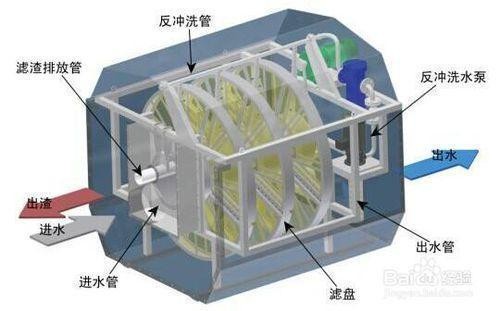 龍魚和虎魚混養怎么喂食好一點（龍魚和虎魚混養怎么喂食好一點呢）