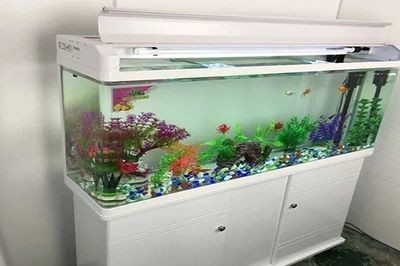 大同市南郊區金牛家具市場騰龍水族館