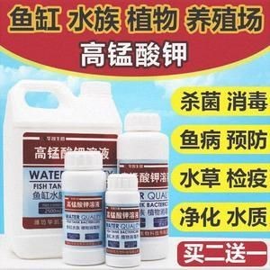 不用了的魚缸怎么處理干凈：如何處理魚缸？ 不用了的魚缸怎么處理干凈：如何處理魚缸？ 魚缸百科 第3張