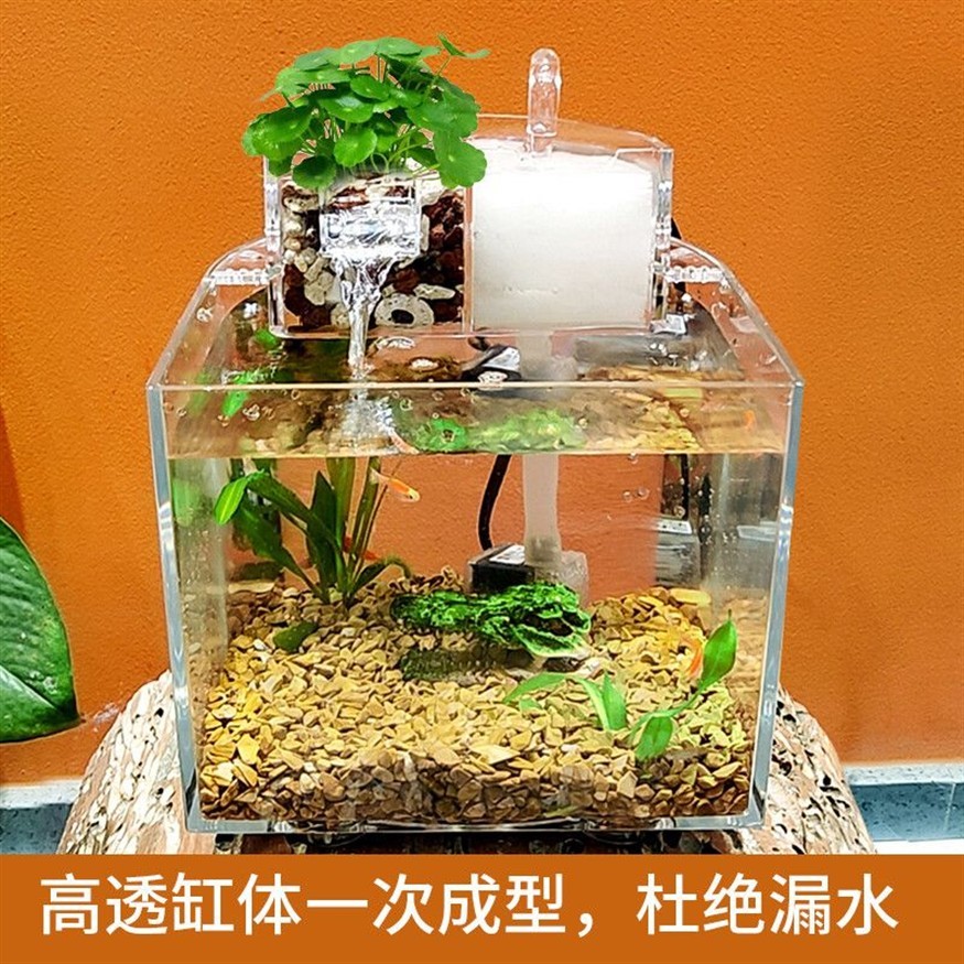 大型魚缸漏水怎么辦：大型魚缸漏水的修復方法和注意事項和注意事項