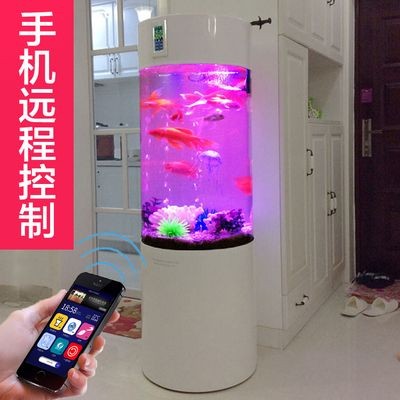 超白金晶魚缸排名前十名：超白金晶魚缸品牌推薦 超白金晶魚缸排名前十名：超白金晶魚缸品牌推薦 魚缸百科 第3張