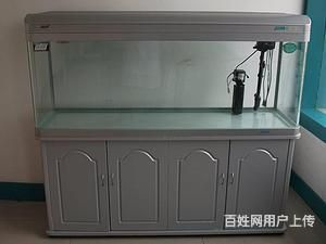 搬家公司搬運魚缸多少錢一個：如何選擇搬家公司搬運魚缸