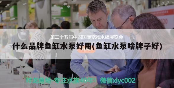 濟寧市市中區東門水族館（濟寧市市中區東門水族館電話） 濟寧市市中區東門水族館（濟寧市市中區東門水族館電話） 全國水族館企業名錄 第1張