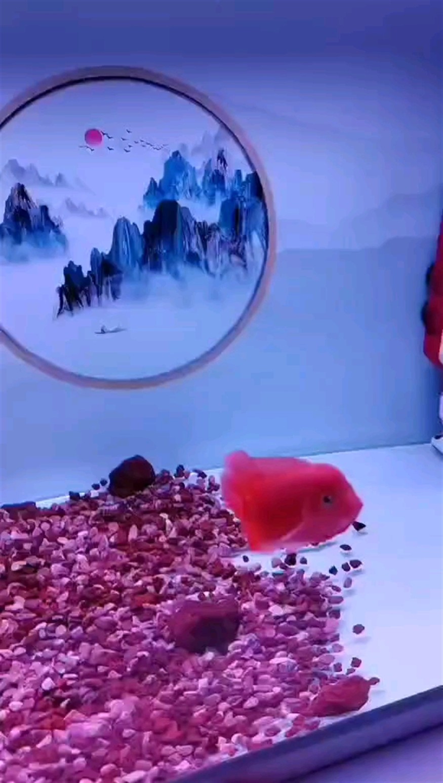 到家第三天 狀態(tài)就來了