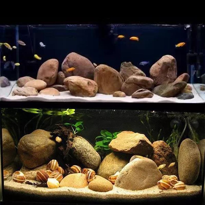 鵝卵石魚缸造景120cm：120cm的魚缸造景可以創(chuàng)造出一種自然和諧的氛圍