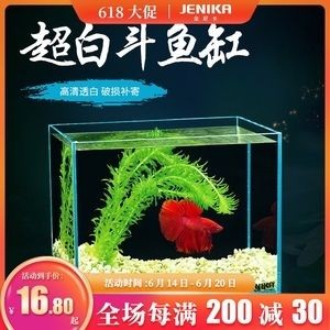 魚缸養魚常見病與用藥有關嗎：魚缸養魚常見病與用藥有關嗎魚缸養魚常見病與用藥有關嗎