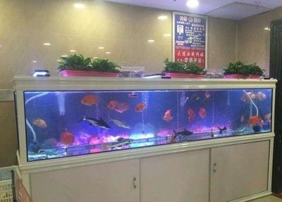 超市魚缸擺放位置：超市魚缸擺放位置考慮風水學、顧客流動線以及日常維護因素