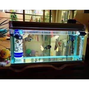 博宇魚缸怎么安裝：博宇魚缸安裝步驟