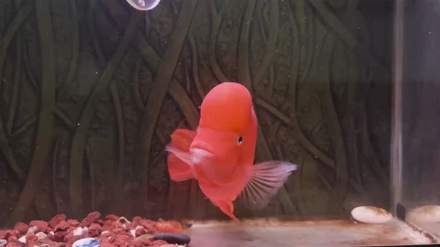 爆脾氣