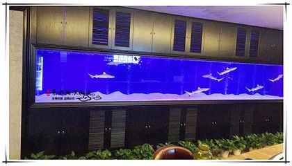 大型亞克力魚缸展示：大型亞克力魚缸是一種既實用又極具藝術性的亞克力魚缸