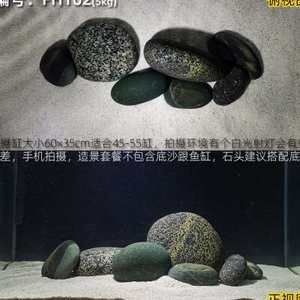 慈鯛魚缸放什么石頭都可以嗎：慈鯛魚缸中的石頭應該如何選擇？