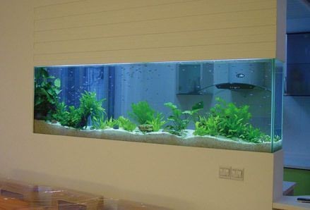七臺河市桃山區(qū)祥水水族館（七臺河市桃山區(qū)祥水水族館電話）