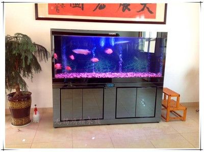 搬家魚缸不帶走可以嗎：大型魚缸搬運安全指南