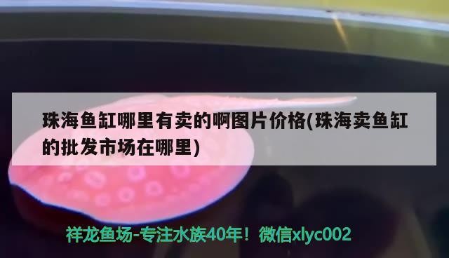 珠海魚缸哪里有賣的啊圖片價格(珠海賣魚缸的批發市場在哪里)