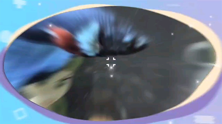 小朋友的魚缸