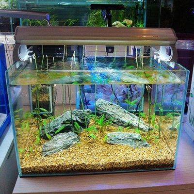 玻璃魚缸加工工藝：玻璃魚缸玻璃加工工藝包括以下幾個(gè)步驟：玻璃魚缸的加工工藝