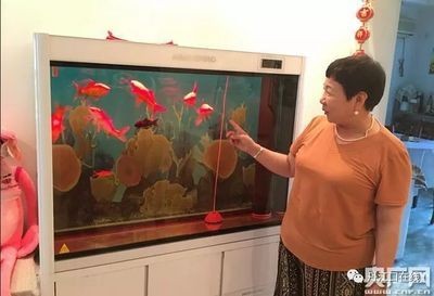 大興魚缸賣魚缸的地方在哪：北京大興區售賣魚缸的相關信息 大興魚缸賣魚缸的地方在哪：北京大興區售賣魚缸的相關信息 魚缸百科 第3張