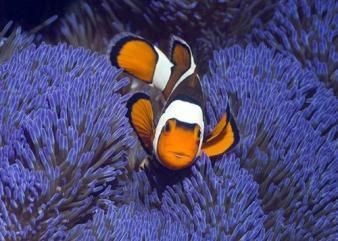 大興魚缸賣魚缸的地方在哪：北京大興區售賣魚缸的相關信息 大興魚缸賣魚缸的地方在哪：北京大興區售賣魚缸的相關信息 魚缸百科 第4張