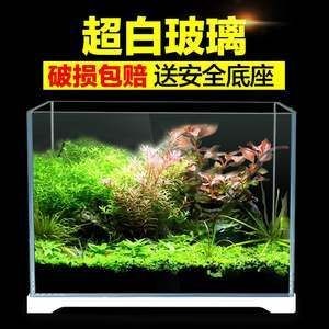 玻璃魚缸青苔怎么處理：如何處理魚缸中的青苔
