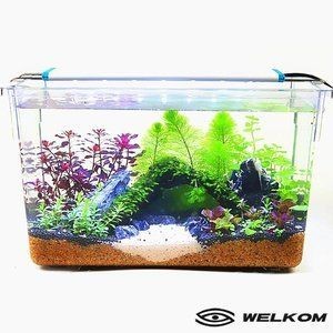 玻璃魚缸好還是塑料的好：亞克力魚缸和玻璃魚缸的優缺點