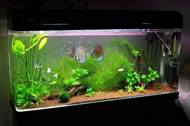 不想用的魚缸怎么處理好：不想用的魚缸可以根據個人喜好和需求進行處理方式