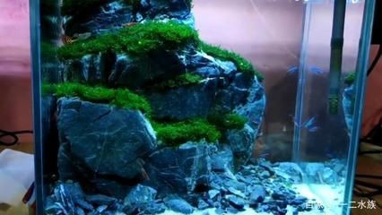 大型魚缸造景：大型魚缸造景材質(zhì)選擇 大型魚缸造景：大型魚缸造景材質(zhì)選擇 魚缸百科 第3張