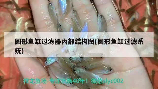 圓形魚缸過濾器內部結構圖(圓形魚缸過濾系統(tǒng)) 圓形魚缸過濾器內部結構圖(圓形魚缸過濾系統(tǒng)) 豬鼻龜百科