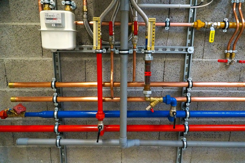 錦鯉掉鱗片是什么原因及治療