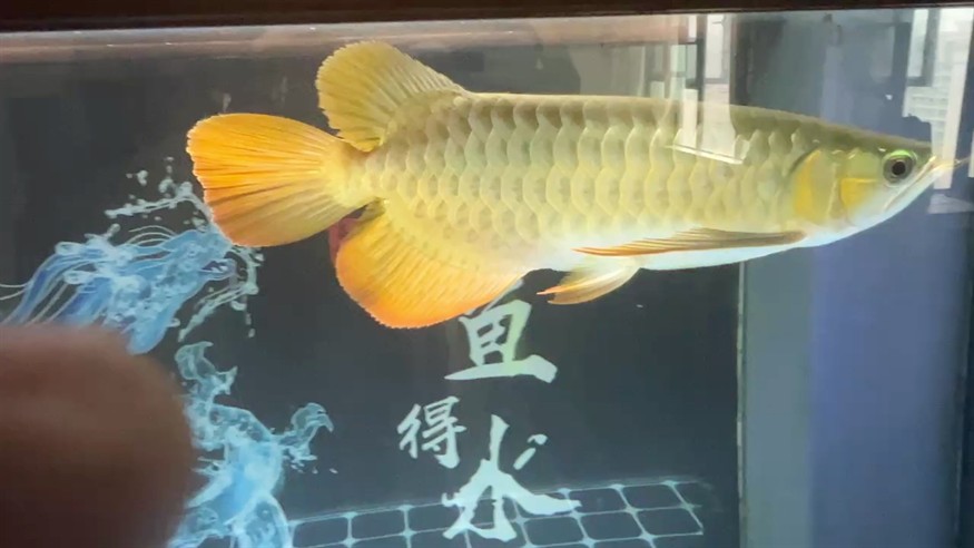 日常打卡 狀態好轉