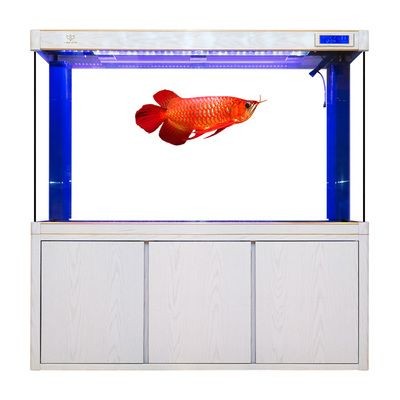大魚缸是什么玻璃：大魚缸玻璃材質包括普通玻璃材質包括普通玻璃、浮法玻璃